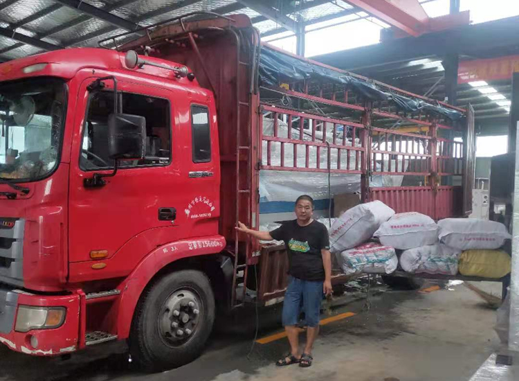 安徽亳州江渦陽。李慧4.jpg 安徽亳州江渦陽。李慧4.jpg